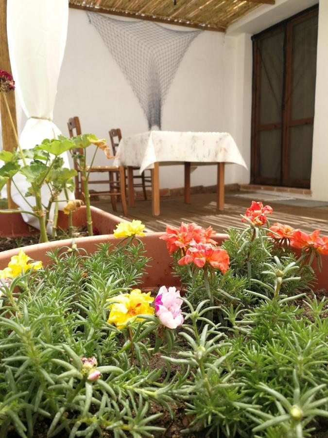 Casa Sartiglia Appartement Oristano Buitenkant foto
